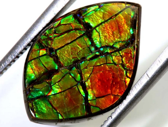 ammolite value