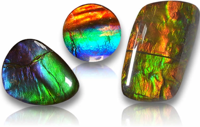 how to buy ammolite