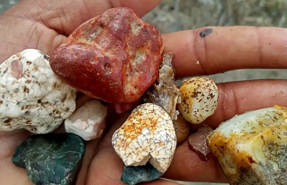 rockhounding for beginners