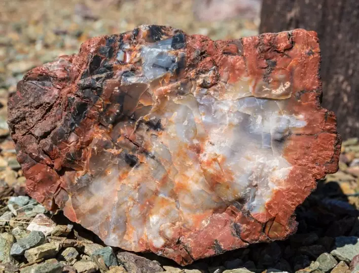 rockhounding for beginners