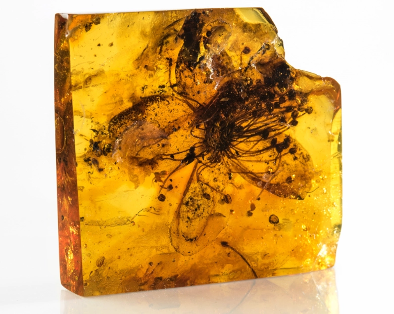 amber healing properties