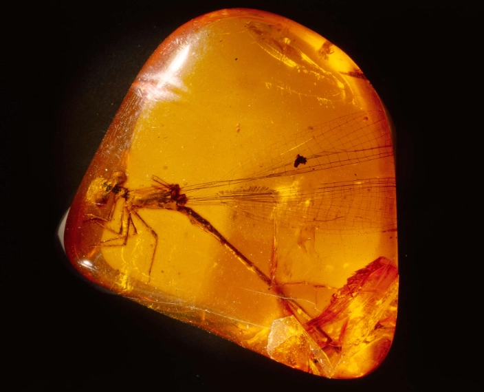 amber scratch resistance