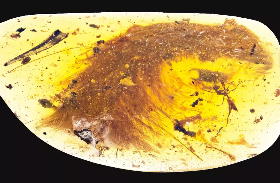 amber metaphysical properties