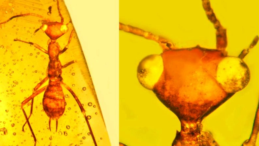 spiritual meaning of amber