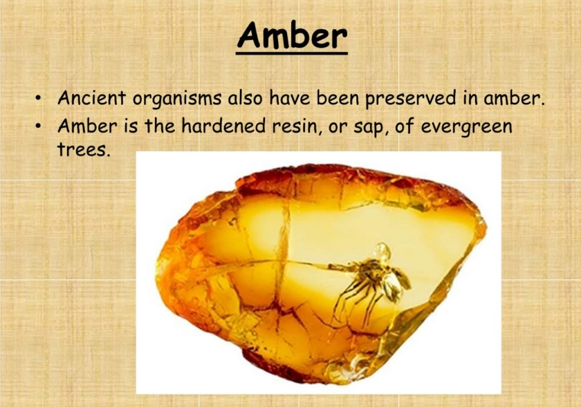 spiritual meaning of amber
