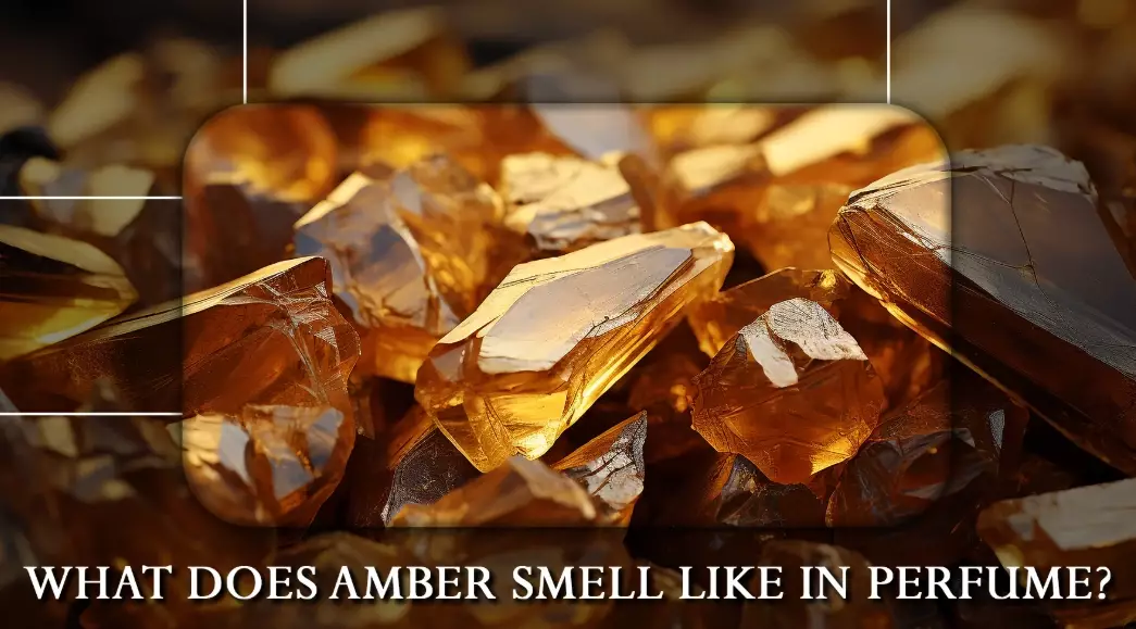 amber smell