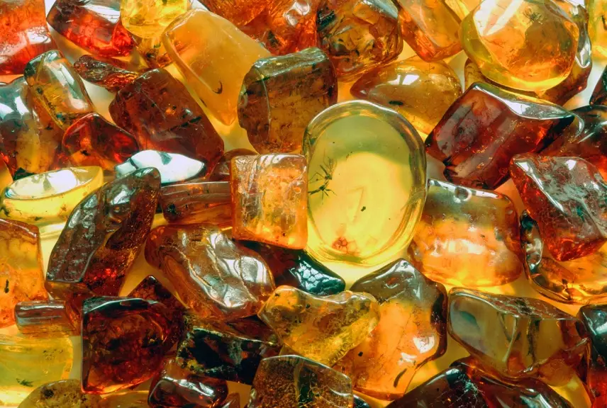 Amber gemstone